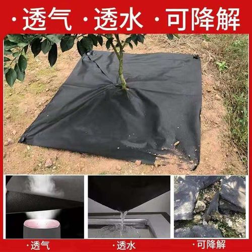 防草布的使用年限？