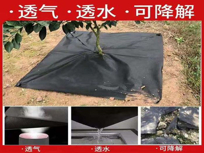 防草布好用么？